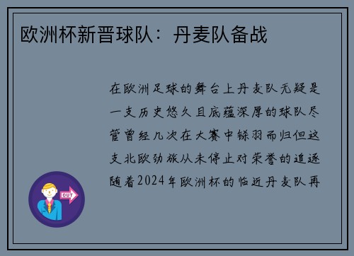 欧洲杯新晋球队：丹麦队备战
